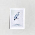 Great Blue Heron Card