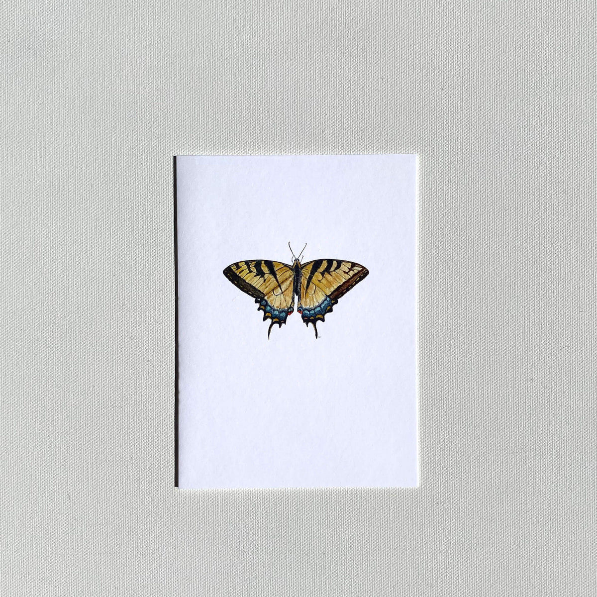 Butterfly Card