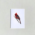 Cardinal Card