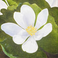 Bloodroot Painting
