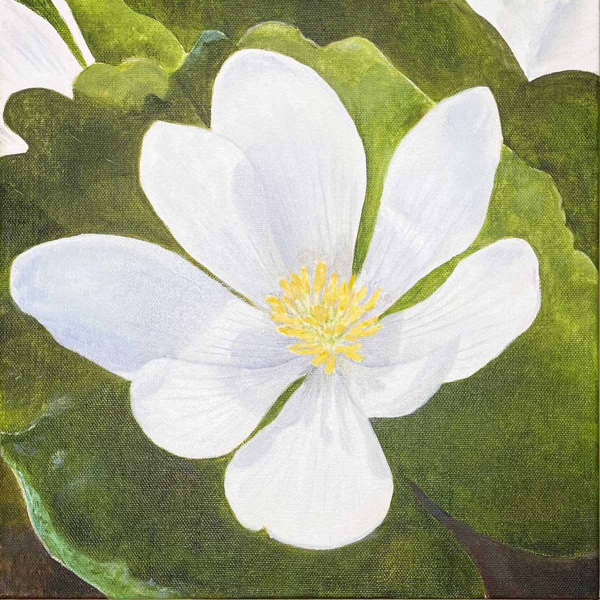 Bloodroot Painting