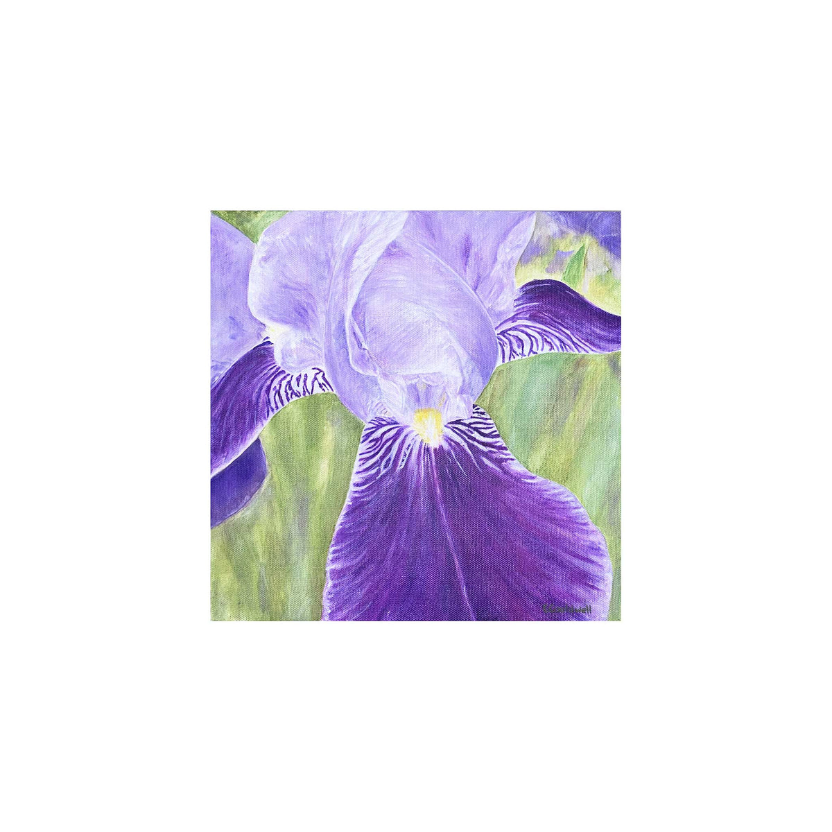 Iris Painting