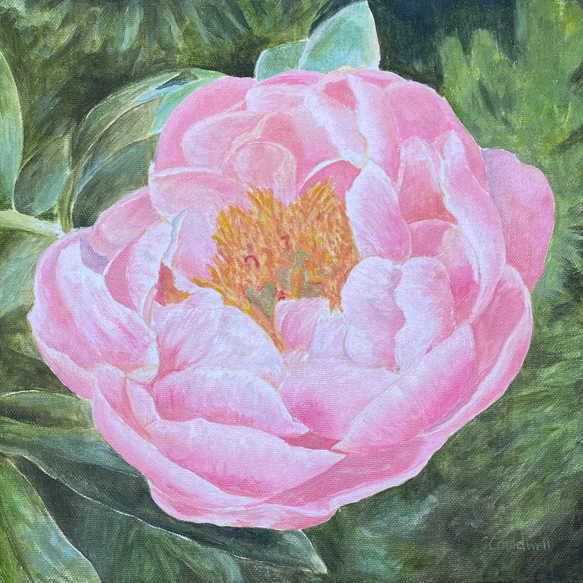 Peony Too Painting