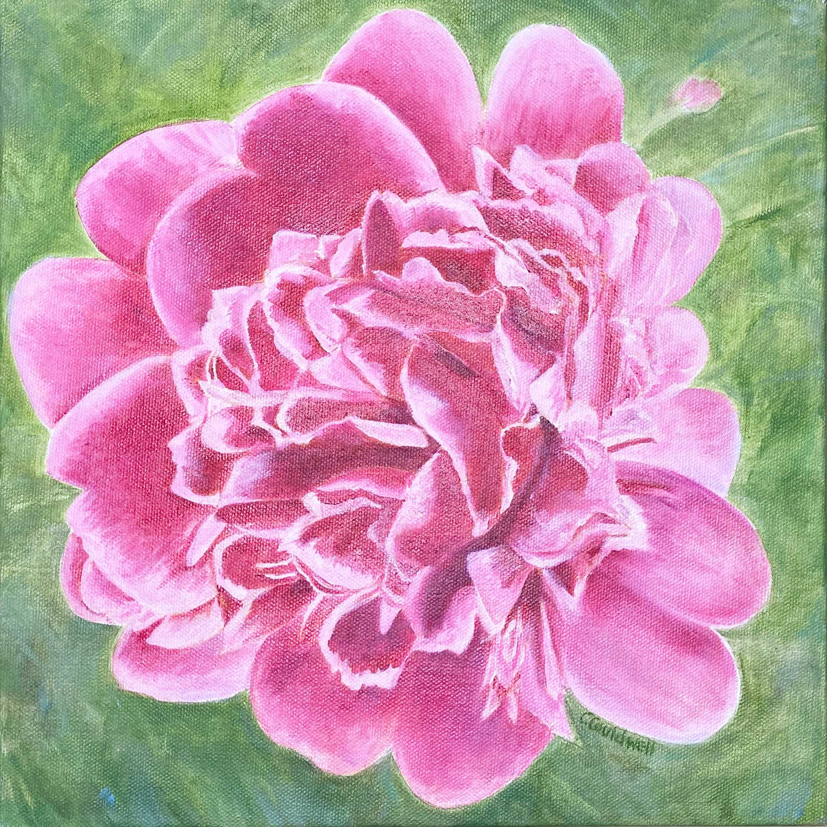 Peony Painting