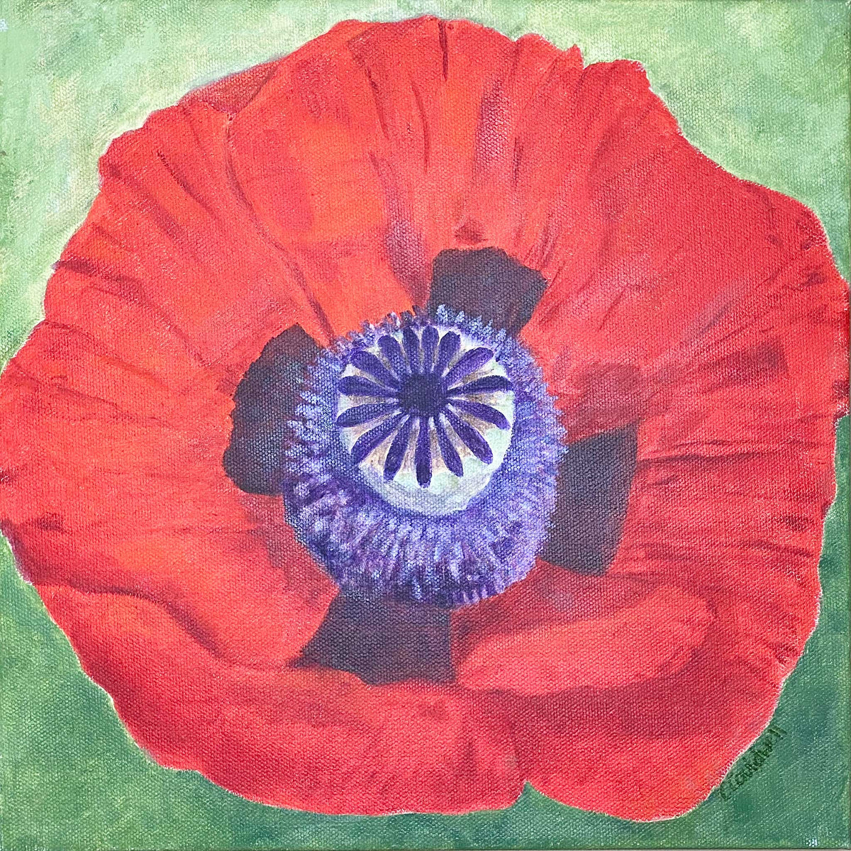Poppy Painting