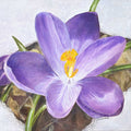 A close-up painted crocus flower with purple petals, a yellow-orange center, and green leaves on a textured light background. 12x12 inches