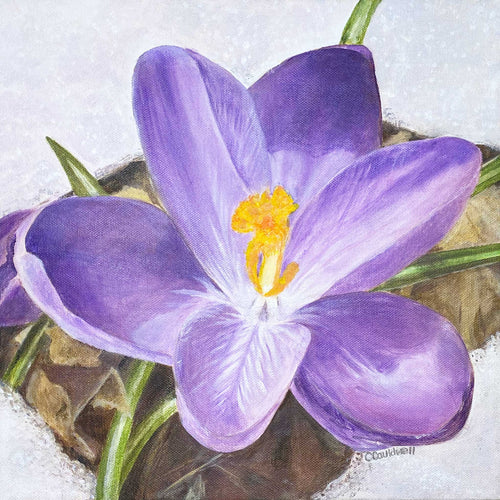 A close-up painted crocus flower with purple petals, a yellow-orange center, and green leaves on a textured light background. 12x12 inches
