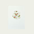 Pink Lotus Teacup Card