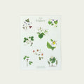 Spring Wildflower Sticker Sheet