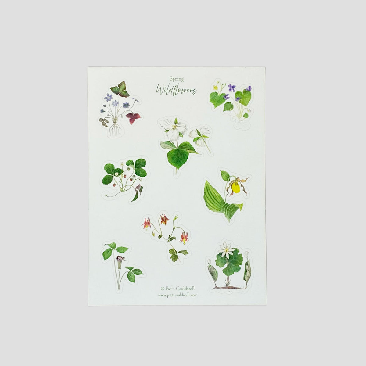Spring Wildflower Sticker Sheet